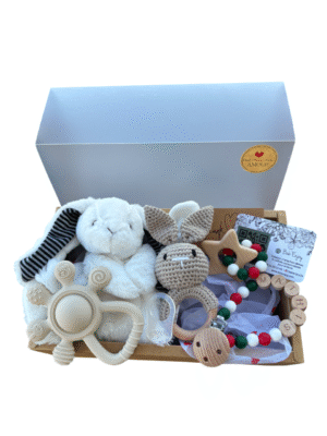 LE COFFRET ENCHANTÉ DU PÔLE NORD